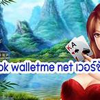 slot walletme net
